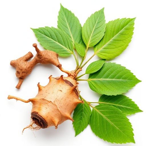 Ashwagandha