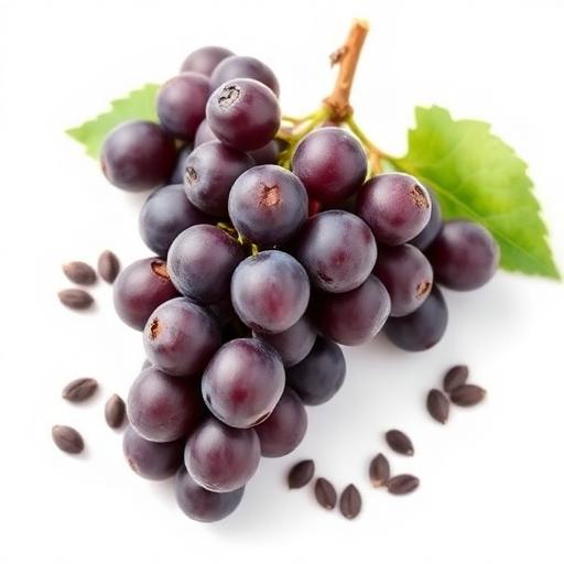 Grape Seed Extract